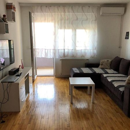 Apartmani Nedodjija レスコヴァツ エクステリア 写真